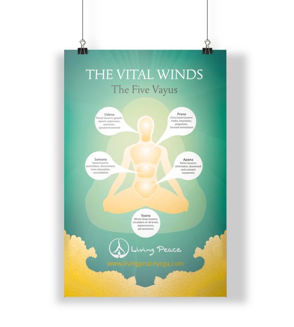 yogic anatomy vayus poster living peace yoga