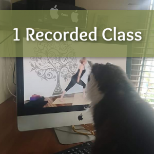 1 Recorded Class